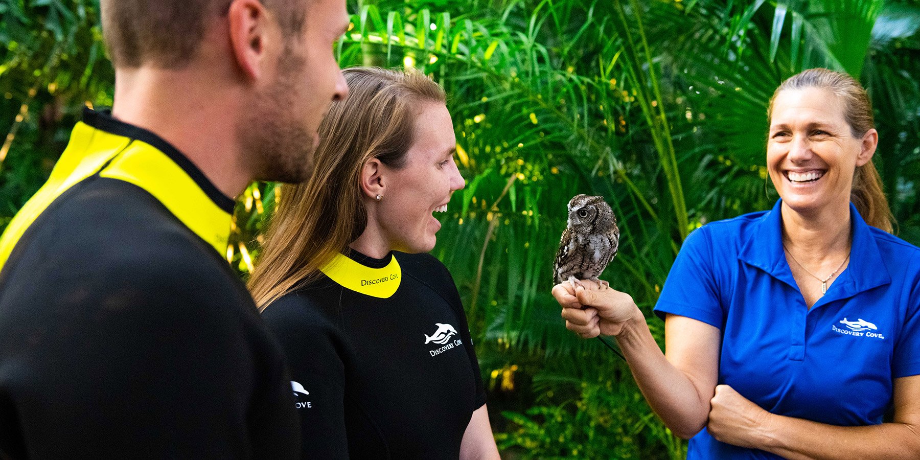 Feed birds in Explorers Aviary at Discovery Cove