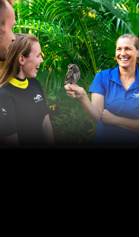 Feed birds in Explorers Aviary at Discovery Cove