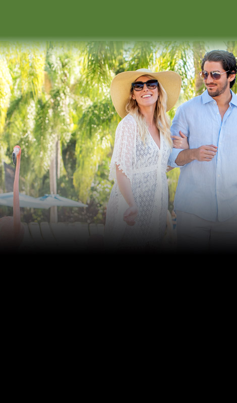 Flamingo Walk at Discovery Cove Orlando