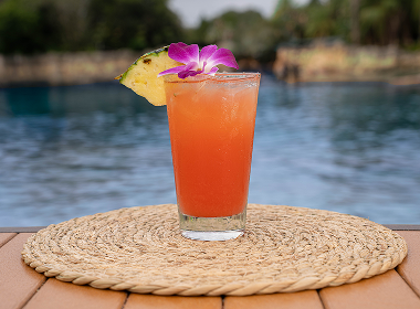 Blueberry Smash Cocktail at Discovery Cove Orlando