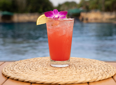 Blueberry Smash Cocktail at Discovery Cove Orlando