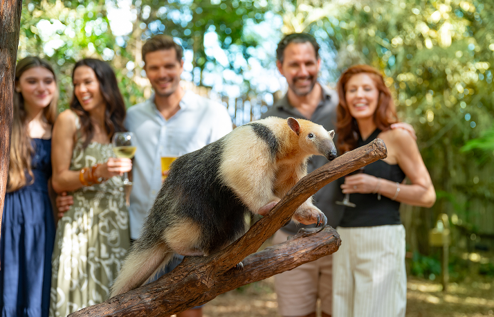 Discovery Cove image.