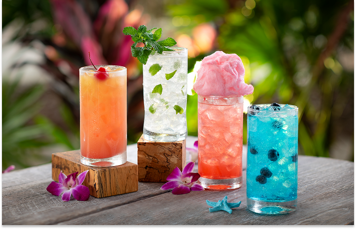 food from Discovery Cove