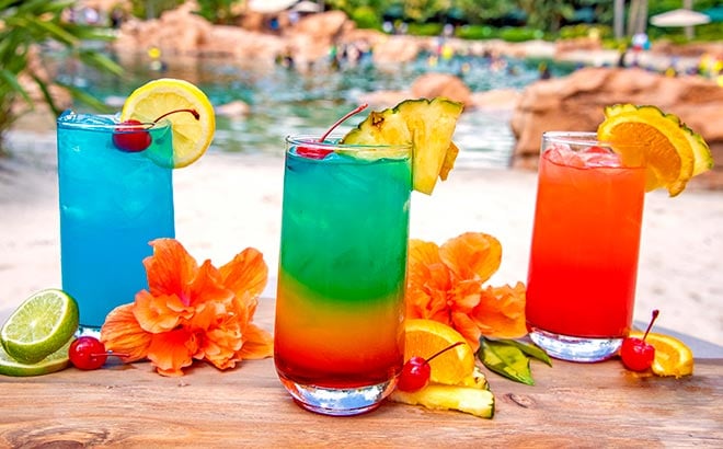Purchase a drink package during a day at Discovery Cove Orlando
