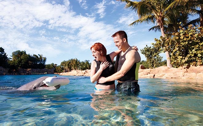 Proposal Celebration Package at Discovery Cove Orlando