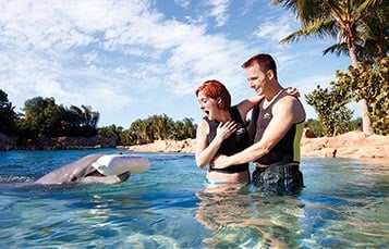 Marriage Proposal at Discovery Cove Orlando