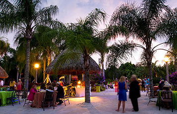 Book your Special Event at Discovery Cove Orlando