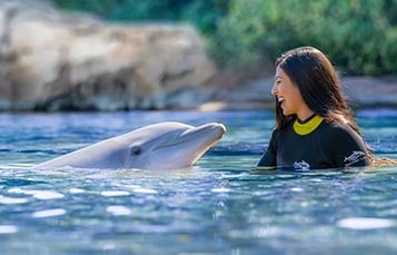 Swim with dolphins at Discovery Cove Orlando