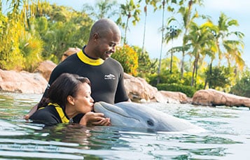 Swim with dolphins at Discovery Cove