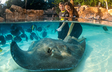 Discovery Cove Grand Reef
