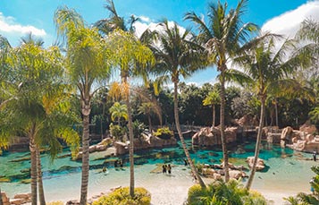 The Grand Reef at Discovery Cove Orlando