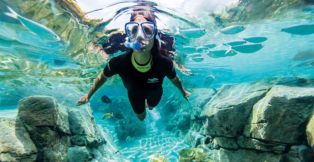 Get up close to rays and tropical fish at the Grand Reef at Discovery Cove.