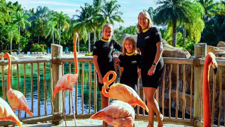 Family taking photos in front of Flamingos