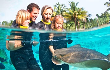 Feed rays and tropical fish at Discovery Cove.