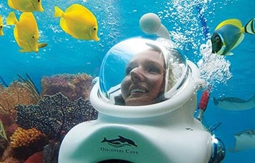 Take an underwater walking tour with SeaVenture at Discovery Cove Orlando