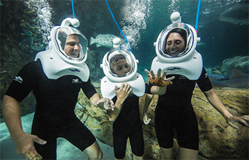 Take an underwater tour of the tropical reef habitat for thousands of tropical fish at Discovery Cove.