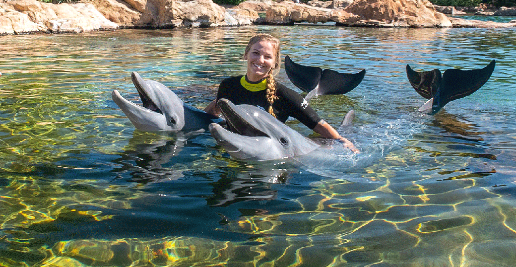 Discovery Cove Orlando Trainer for a Day
