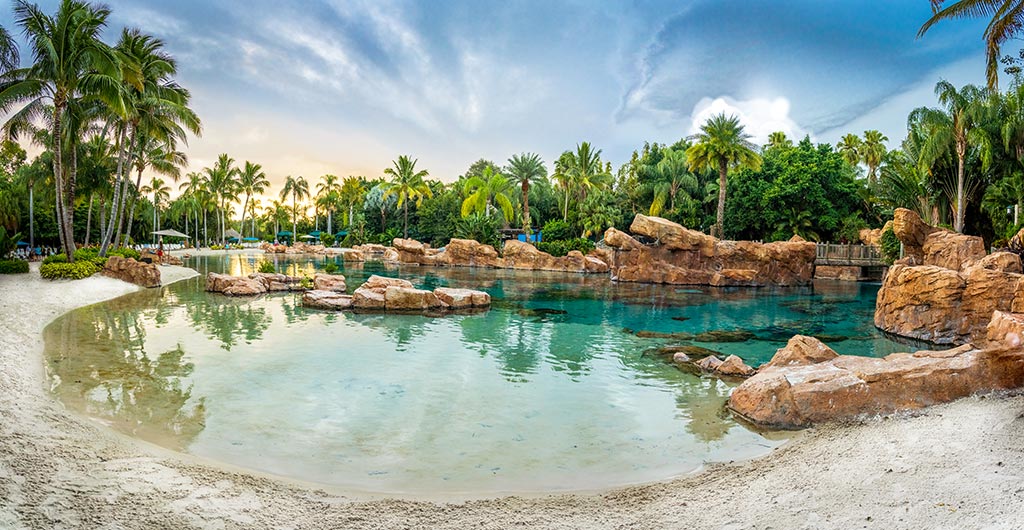 Discovery Cove Orlando