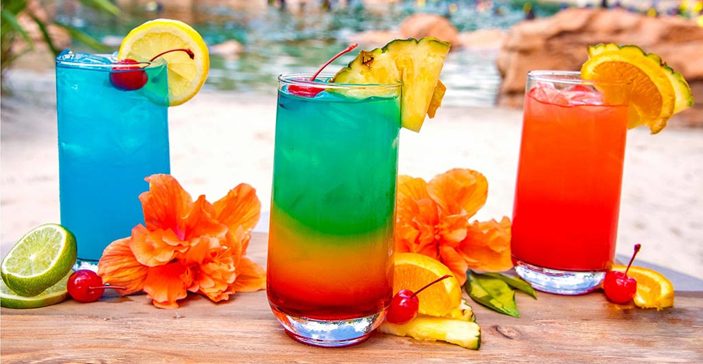 Premium Drink Package available during a day at Discovery Cove Orlando