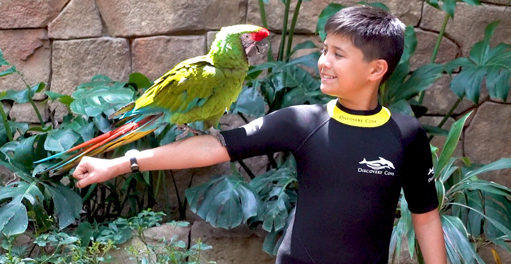 Animal Trek Florida Live Animal Tours Discovery Cove Orlando