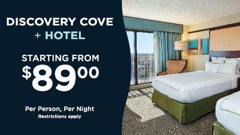 Discovery Cove Vacation Package