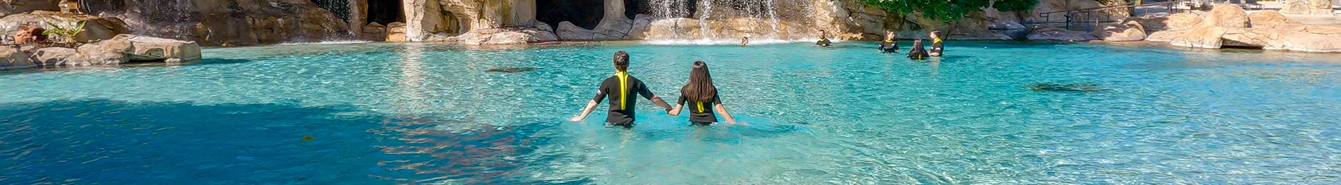 Serenity Bay at Discovery Cove Orlando