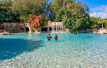 Serenity Bay at Discovery Cove Orlando