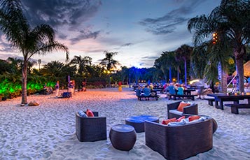 Group events at Discovery Cove