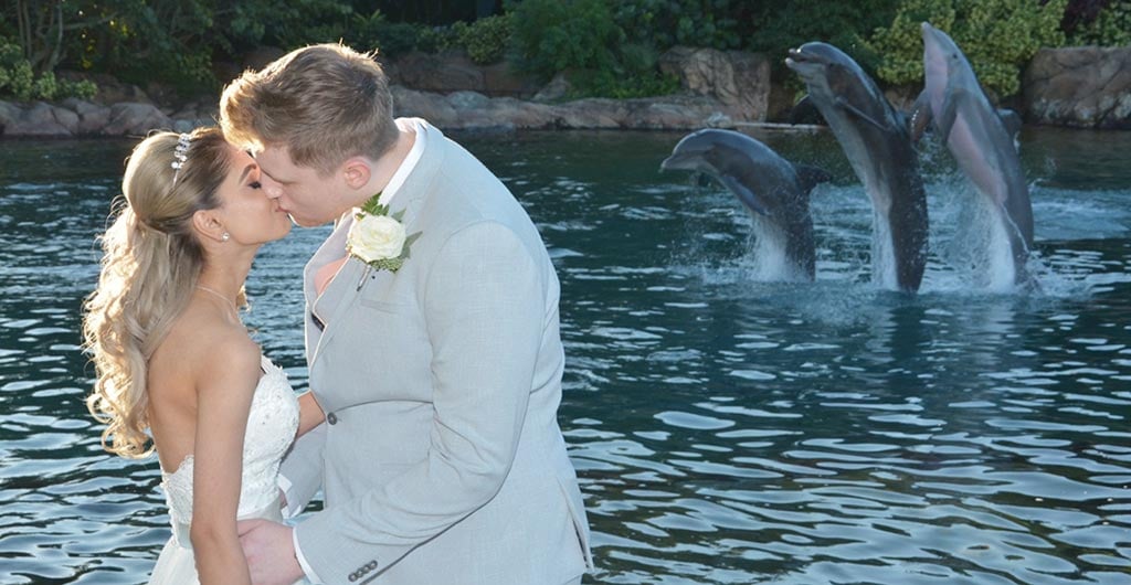 A wedding to remember at Discovery Cove Orlando