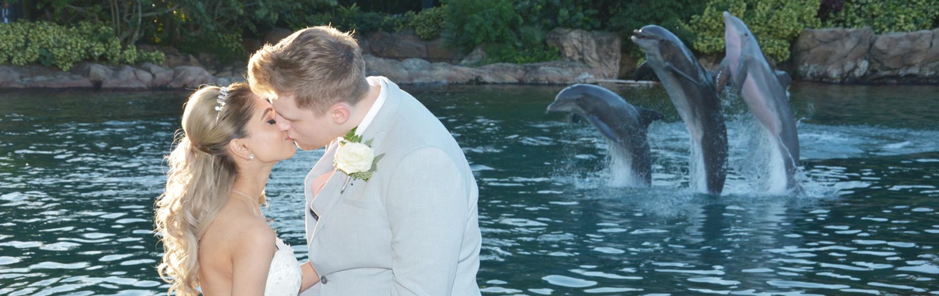 A wedding to remember at Discovery Cove Orlando