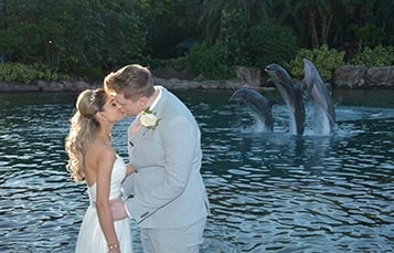A wedding to remember at Discovery Cove Orlando