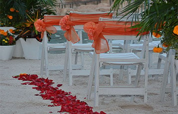 Weddings at Discovery Cove