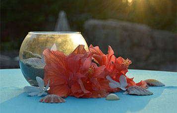 Weddings at Discovery Cove