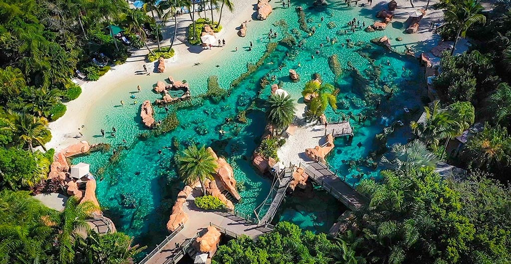 Discovery Cove Orlando