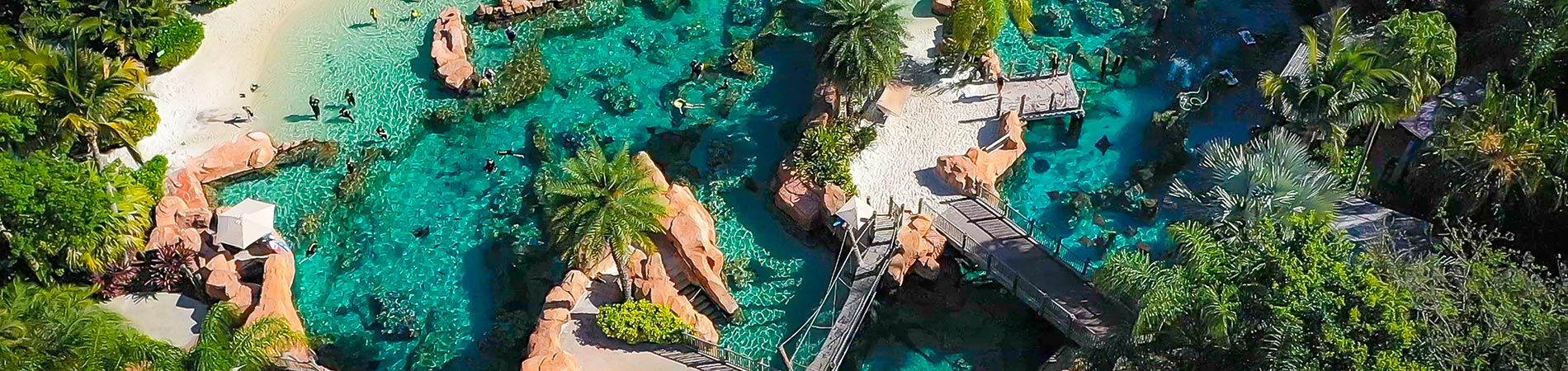 Discovery Cove Orlando