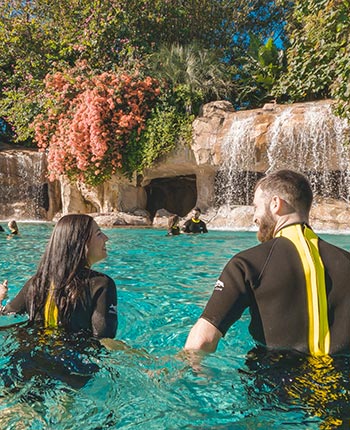 Serenity Bay at Discovery Cove Orlando