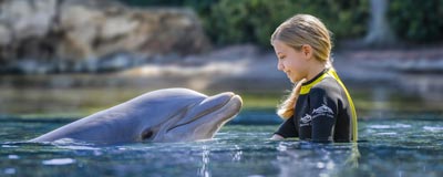 Swim with a dolphin at Discovery Cove Orlando