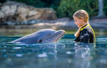 Upgrade to a Photo Package during your day at Discovery Cove Orlando