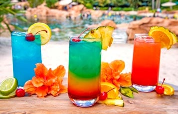 Upgrade to a Premium Drink Package during your day at Discovery Cove Orlando