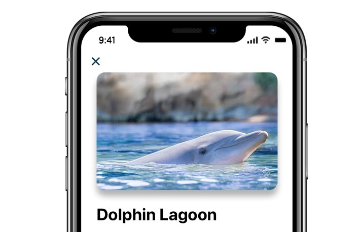 Discovery Cove Orlando Mobile App Guide