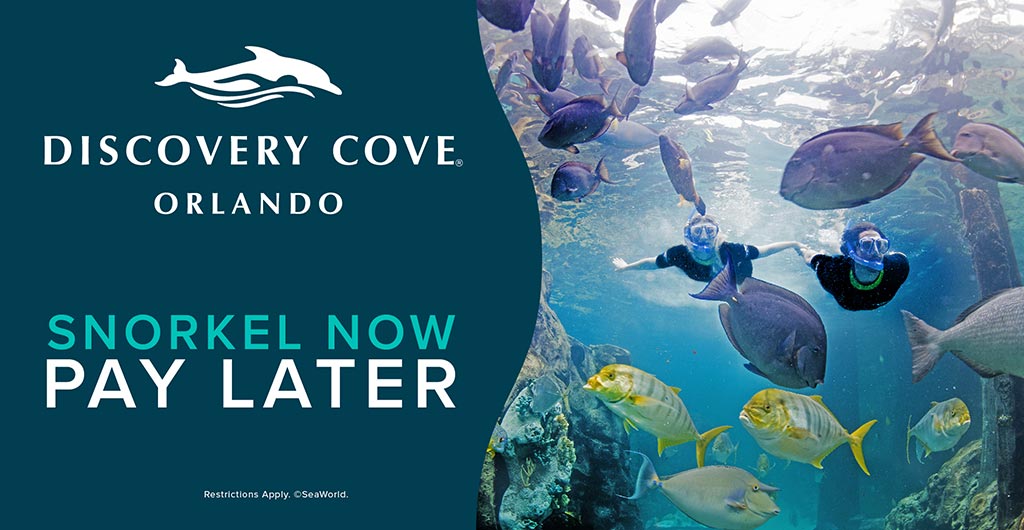 Discovery Cove Orlando Snorkel Now Pay Later with Affirm