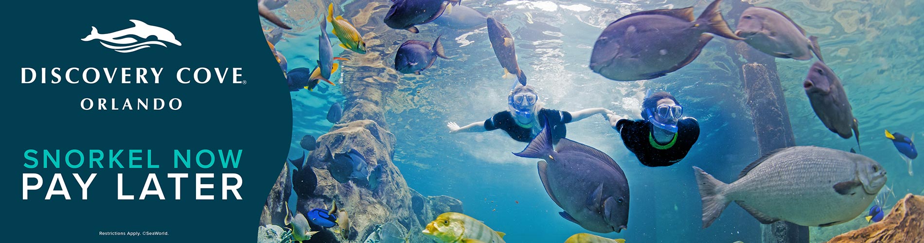 Discovery Cove Orlando Snorkel Now Pay Later with Affirm