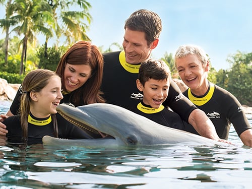 Day Resort Plus Dolphin Swim at Discovery Cove
