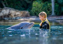Swim with a dolphin at Discovery Cove Orlando
