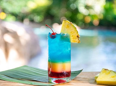 Aloha Sunrise Cocktail at Discovery Cove Orlando