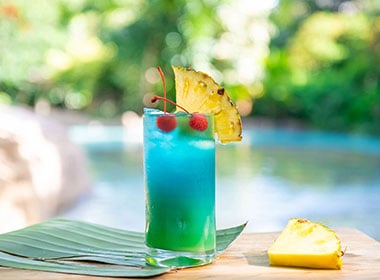 Blue Bamboo Cocktail at Discovery Cove Orlando