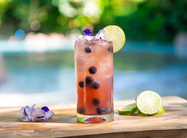 Blueberry Smash Cocktail at Discovery Cove Orlando