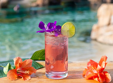 Hibiscus Hideaway cocktail