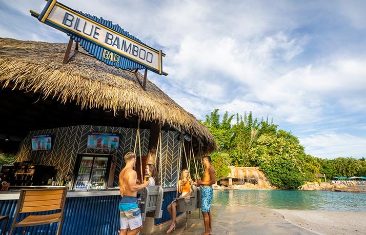 Blue Bamboo Bar at Discovery Cove