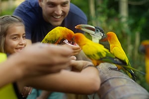 Bird aviary at Discovery Cove Orlando